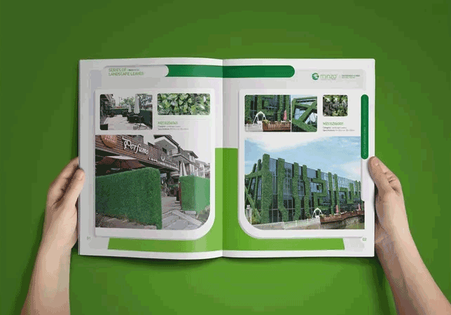 綠色主題畫冊(cè)  第9張