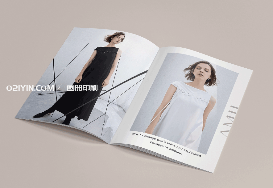 服裝畫冊(cè)印刷  第2張