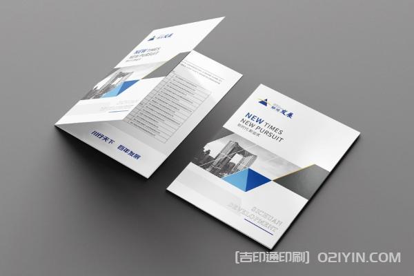 企業(yè)發(fā)展封套設(shè)計印刷  第2張