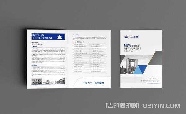 企業(yè)發(fā)展封套設(shè)計印刷  第3張