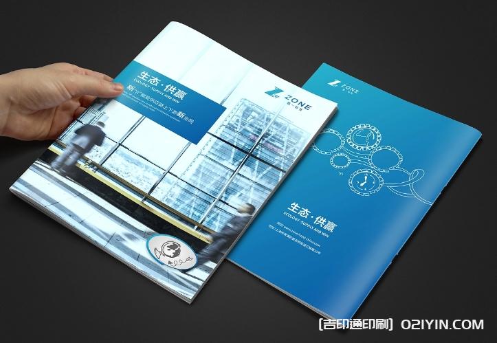 生態(tài)軟件IT供應(yīng)鏈畫冊(cè)設(shè)計(jì) 第3張 生態(tài)軟件IT供應(yīng)鏈畫冊(cè)設(shè)計(jì) 第3張