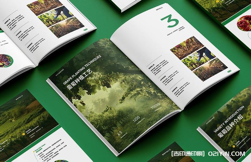 上海產(chǎn)品畫(huà)冊(cè)印刷避坑指南：文件規(guī)范、工期把控與質(zhì)量驗(yàn)收要點(diǎn)