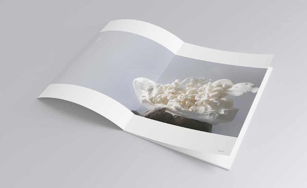 彩頁印刷常規(guī)尺寸有哪些？